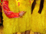 IMG_0525_1