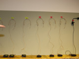 IMG_8141_1