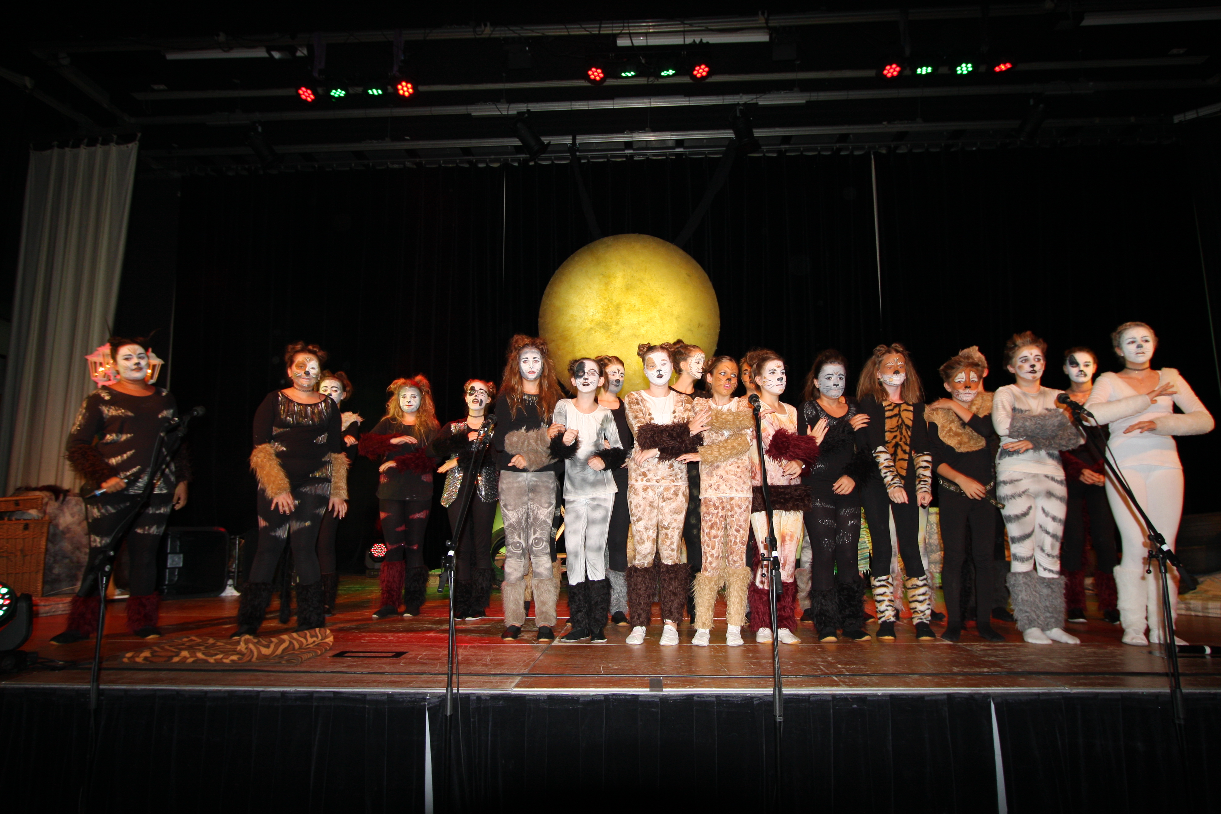 Cats 2015
